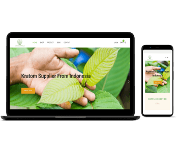 Website Obat Herbal Alami